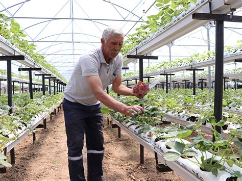 Türkiye'de Yeni Tarım Destekleri: Çiftçilere Hibe